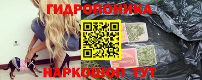 прущие крисы Сланцы