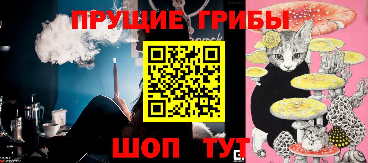 Галлюциногенные грибы Psilocybine cubensis  Вход с VPN  Нягань  Галлюциногенные грибы Magic Shrooms 